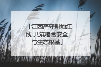 江西严守耕地红线 共筑粮食安全与生态根基