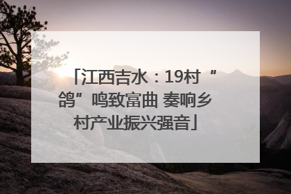 江西吉水：19村“鸽”鸣致富曲 奏响乡村产业振兴强音