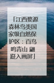 江西婺源森林鸟类国家级自然保护区：百鸟鸣青山 翩跹入画屏