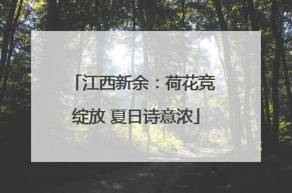 江西新余：荷花竞绽放 夏日诗意浓