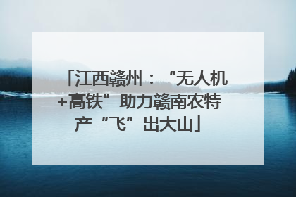 江西赣州：“无人机+高铁”助力赣南农特产“飞”出大山
