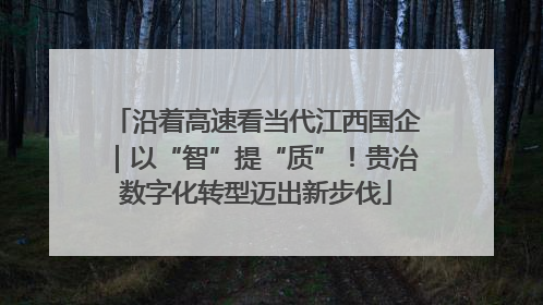 沿着高速看当代江西国企｜以“智”提“质”！贵冶数字化转型迈出新步伐