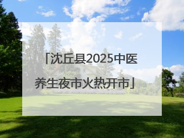 沈丘县2025中医养生夜市火热开市