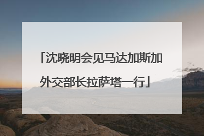 沈晓明会见马达加斯加外交部长拉萨塔一行