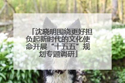 沈晓明围绕更好担负起新时代的文化使命开展“十五五”规划专题调研