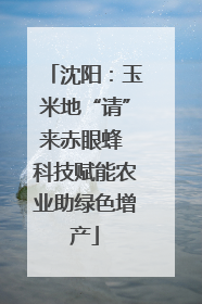 沈阳：玉米地“请”来赤眼蜂 科技赋能农业助绿色增产