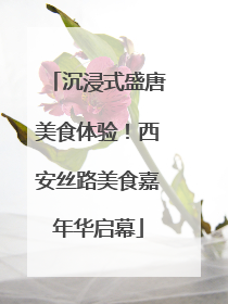 沉浸式盛唐美食体验！西安丝路美食嘉年华启幕