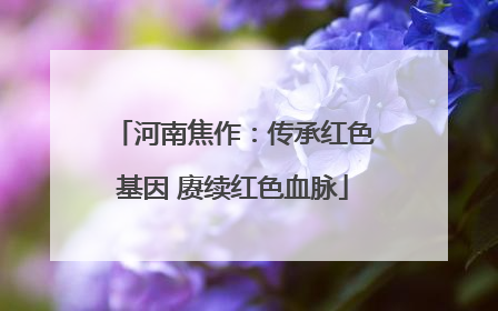 河南焦作：传承红色基因 赓续红色血脉