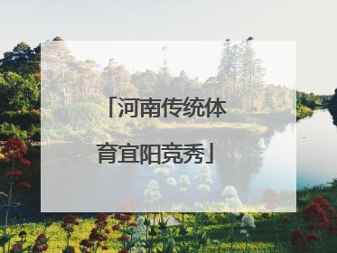 河南传统体育宜阳竞秀