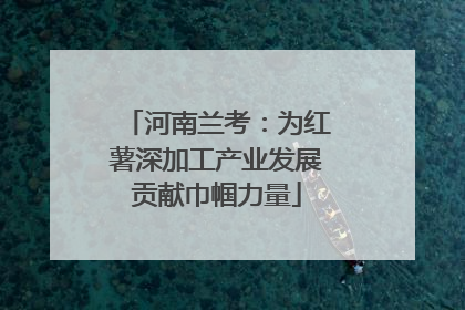 河南兰考：为红薯深加工产业发展贡献巾帼力量
