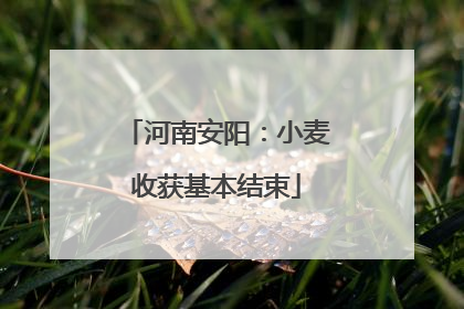 河南安阳：小麦收获基本结束