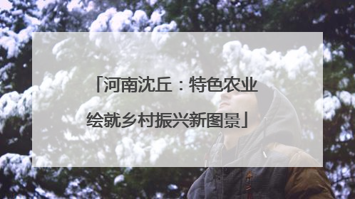 河南沈丘：特色农业绘就乡村振兴新图景