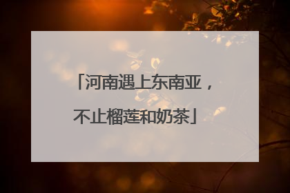 河南遇上东南亚，不止榴莲和奶茶