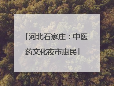 河北石家庄：中医药文化夜市惠民