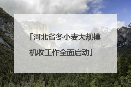 河北省冬小麦大规模机收工作全面启动