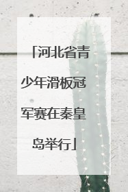 河北省青少年滑板冠军赛在秦皇岛举行