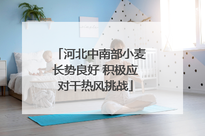 河北中南部小麦长势良好 积极应对干热风挑战