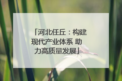 河北任丘：构建现代产业体系 助力高质量发展