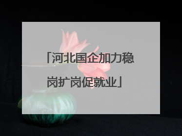 河北国企加力稳岗扩岗促就业