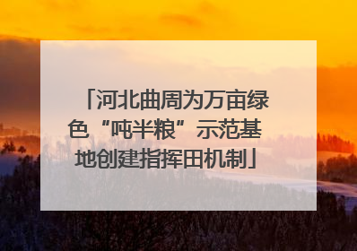 河北曲周为万亩绿色“吨半粮”示范基地创建指挥田机制