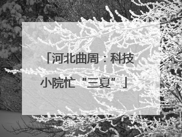 河北曲周：科技小院忙“三夏”