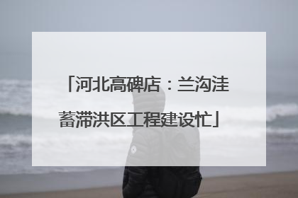 河北高碑店：兰沟洼蓄滞洪区工程建设忙