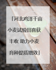 河北鸡泽千亩小麦试验田喜获丰收 助力小麦育种提质增效