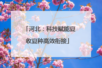 河北：科技赋能夏收夏种高效衔接