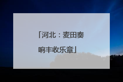 河北：麦田奏响丰收乐章