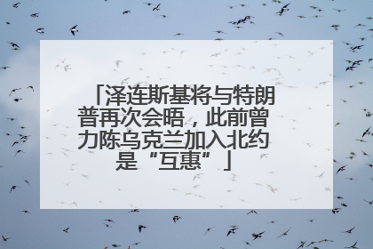 泽连斯基将与特朗普再次会晤，此前曾力陈乌克兰加入北约是“互惠”