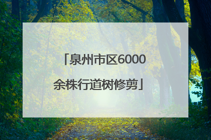 泉州市区6000余株行道树修剪