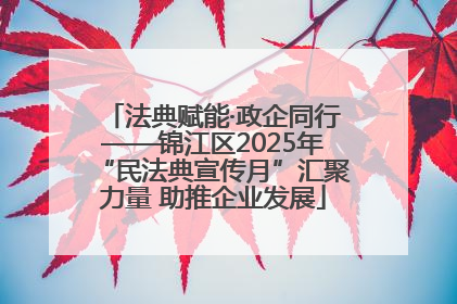 法典赋能·政企同行——锦江区2025年“民法典宣传月”汇聚力量 助推企业发展