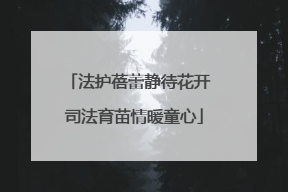 法护蓓蕾静待花开 司法育苗情暖童心