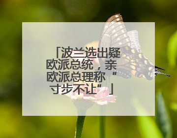 波兰选出疑欧派总统，亲欧派总理称“寸步不让”