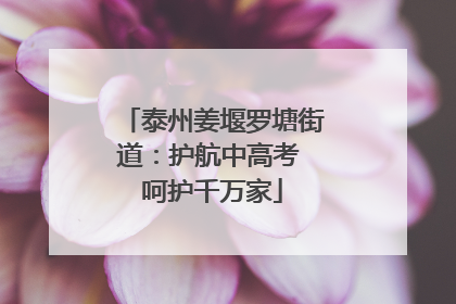 泰州姜堰罗塘街道：护航中高考 呵护千万家