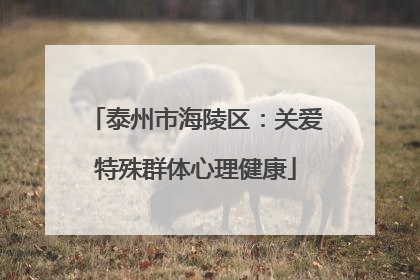 泰州市海陵区：关爱特殊群体心理健康