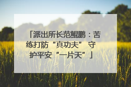 派出所长范鲲鹏：苦练打防“真功夫” 守护平安“一片天”