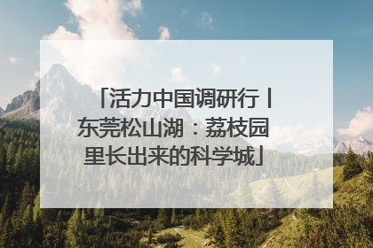 活力中国调研行丨东莞松山湖：荔枝园里长出来的科学城