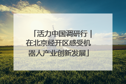 活力中国调研行｜在北京经开区感受机器人产业创新发展