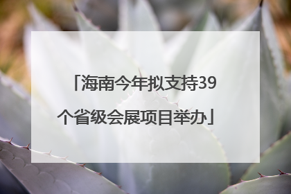 海南今年拟支持39个省级会展项目举办