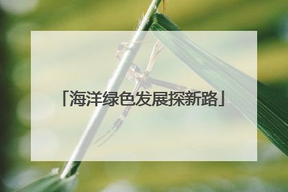 海洋绿色发展探新路