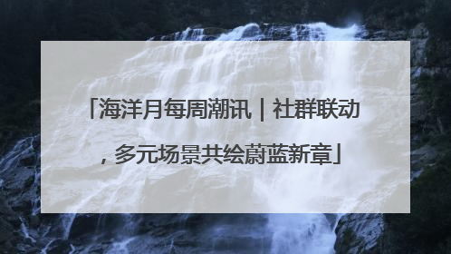 海洋月每周潮讯｜社群联动，多元场景共绘蔚蓝新章