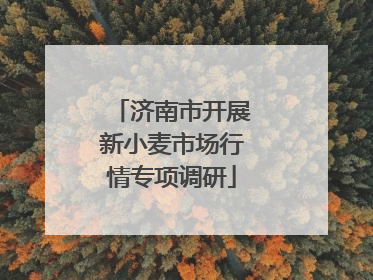 济南市开展新小麦市场行情专项调研