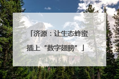 济源：让生态蜂蜜插上“数字翅膀”