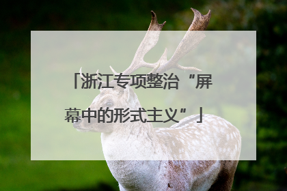 浙江专项整治“屏幕中的形式主义”