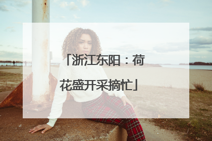 浙江东阳：荷花盛开采摘忙