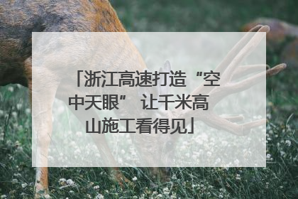 浙江高速打造“空中天眼” 让千米高山施工看得见