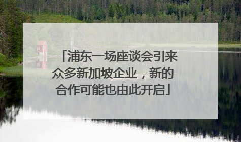 浦东一场座谈会引来众多新加坡企业，新的合作可能也由此开启