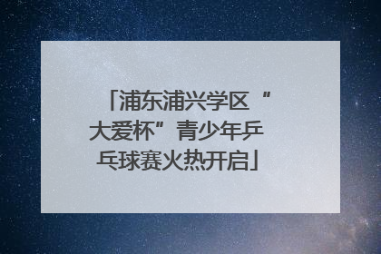 浦东浦兴学区“大爱杯”青少年乒乓球赛火热开启