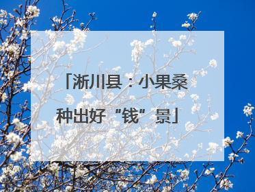 淅川县：小果桑种出好“钱”景